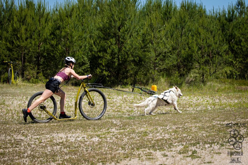 EDR Dog Triathlon 2025
