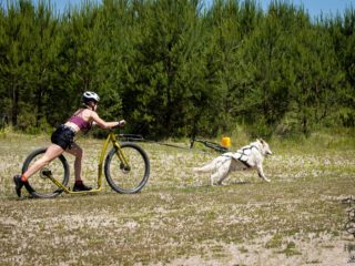 EDR Dog Triathlon 2025