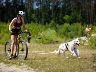 EDR Dog Triathlon 2025