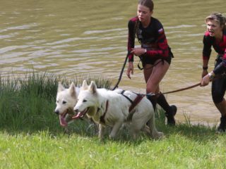 Hard Dog Race base CZ 2025