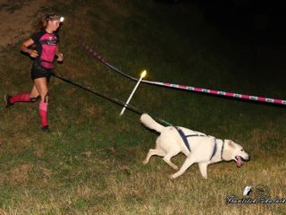 Extreme Dog Race – Motocross Opatov 2025