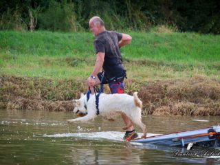 Extreme Dog Race – Motocross Opatov 2025