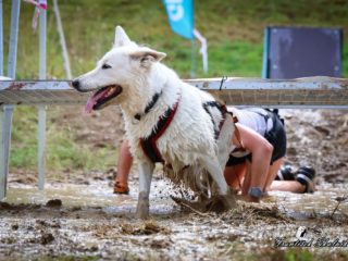 Extreme Dog Race – Motocross Opatov 2025