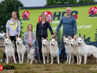 Hard Dog Race WILD 2025