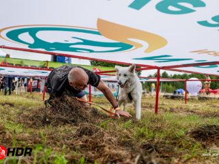 Hard Dog Race WILD 2025
