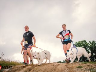 Hard Dog Race WILD 2025