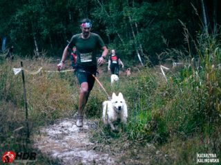 Hard Dog Race WILD 2025