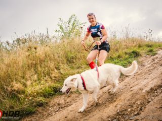 Hard Dog Race WILD 2025
