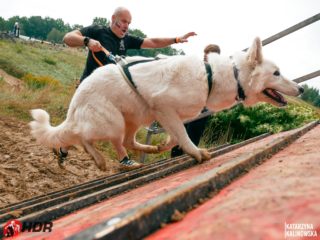 Hard Dog Race WILD 2025