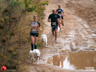 Hard Dog Race WILD 2025