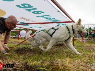 Hard Dog Race WILD 2025