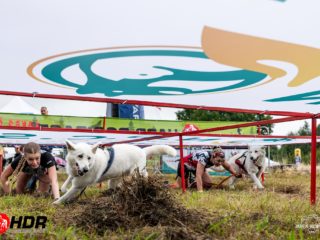 Hard Dog Race WILD 2025