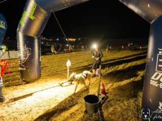 Extreme Dog Race – Motocross Opatov 2025