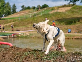 Extreme Dog Race – Motocross Opatov 2025