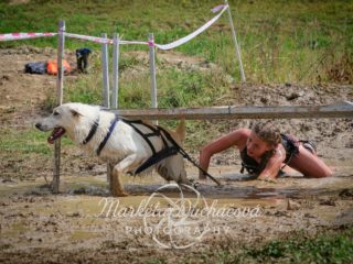 Extreme Dog Race – Motocross Opatov 2025