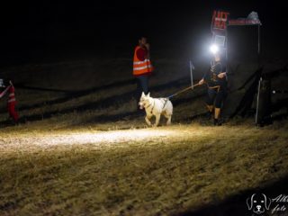 Extreme Dog Race – Motocross Opatov 2025