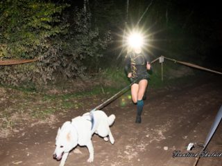 Czech Dog Run Nightfall 2025