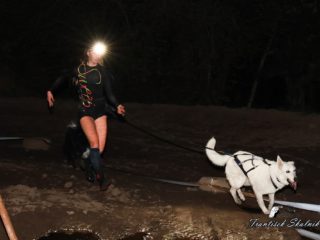 Czech Dog Run Nightfall 2025