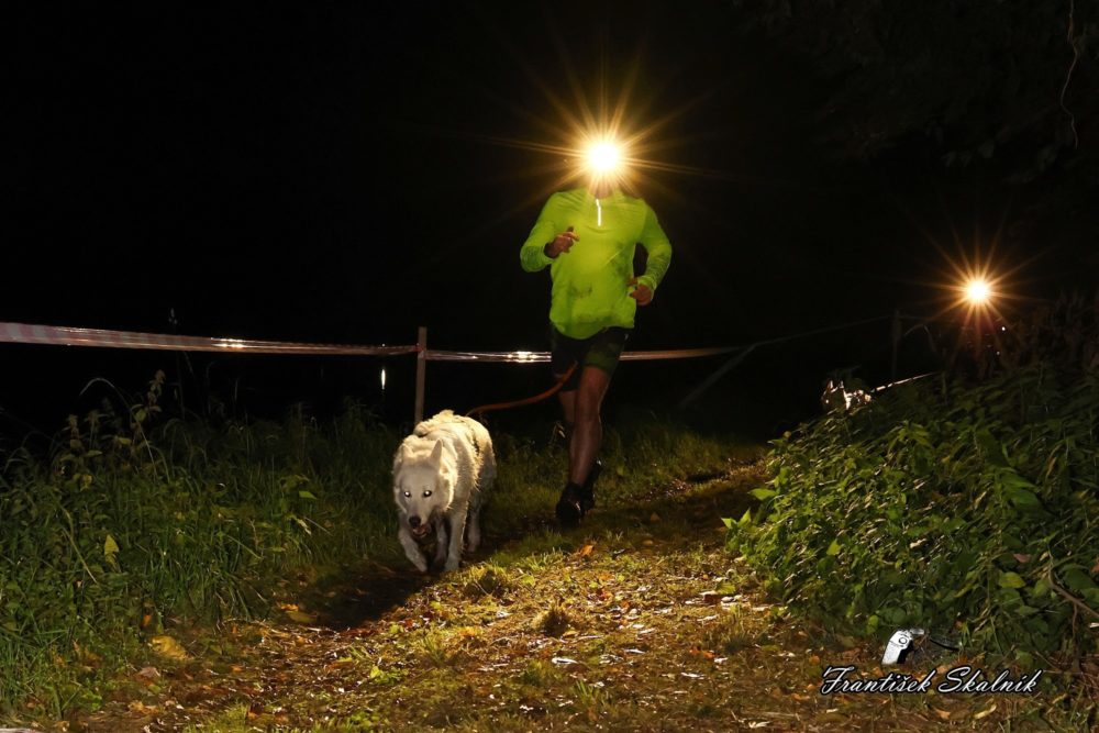 Czech Dog Run Nightfall 2025
