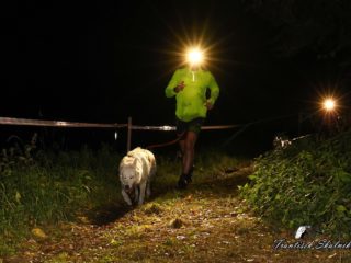 Czech Dog Run Nightfall 2025