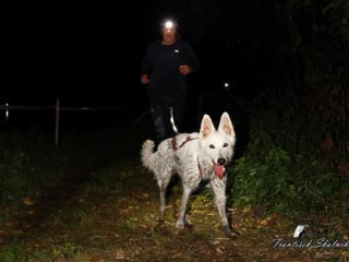 Czech Dog Run Nightfall 2025