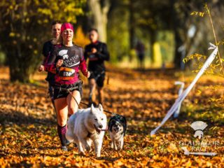 Canicross Velichovky 2025