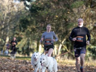 Canicross Velichovky 2025