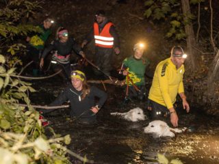 Czech Dog Run Nightfall 2025