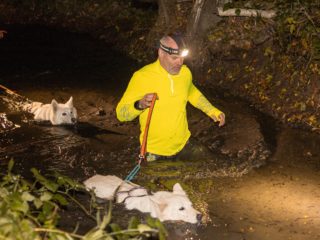 Czech Dog Run Nightfall 2025