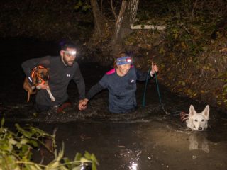 Czech Dog Run Nightfall 2025