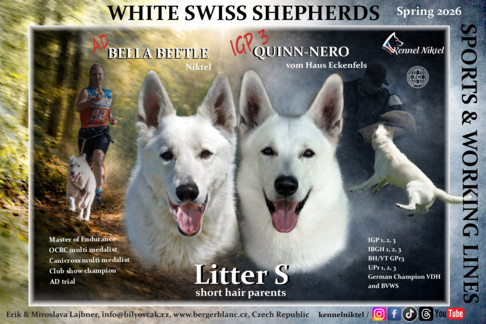 Plánujeme Vrh „S“