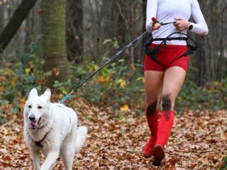 Extreme Dog Race Steeplechase 2025