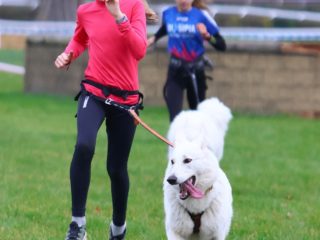 Extreme Dog Race Steeplechase 2025