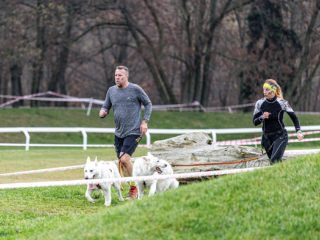 Extreme Dog Race Steeplechase 2025