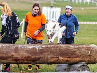 Extreme Dog Race Steeplechase 2025