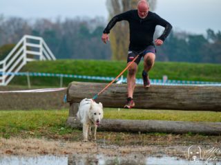 Extreme Dog Race Steeplechase 2025