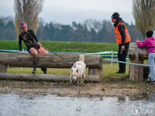 Extreme Dog Race Steeplechase 2025