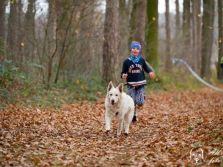 Extreme Dog Race Steeplechase 2025