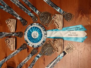 Extreme Dog Race Steeplechase 2025