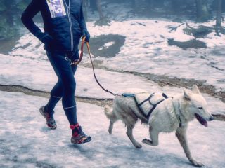 Ještěd Winter Skyrace, 6.12.2025