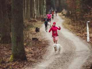 Valentýnský běh 2026