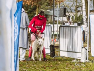 Valentýnský běh 2026