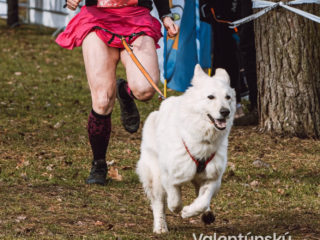 Valentýnský běh 2026