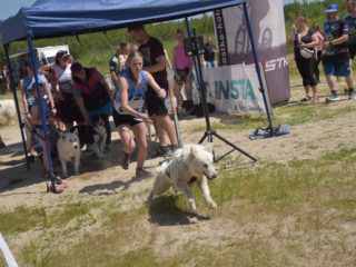 EDR Dog Biatlon 2025