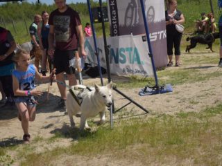 EDR Dog Biatlon 2025