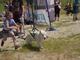 EDR Dog Biatlon 2025