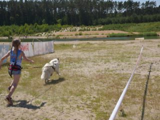 EDR Dog Biatlon 2025