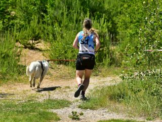 EDR Dog Biatlon 2025