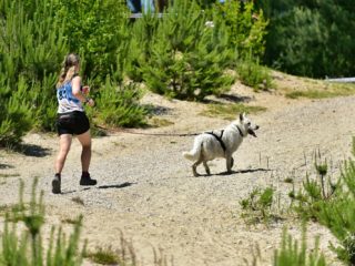 EDR Dog Biatlon 2025