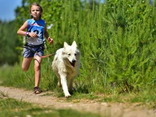 EDR Dog Biatlon 2025